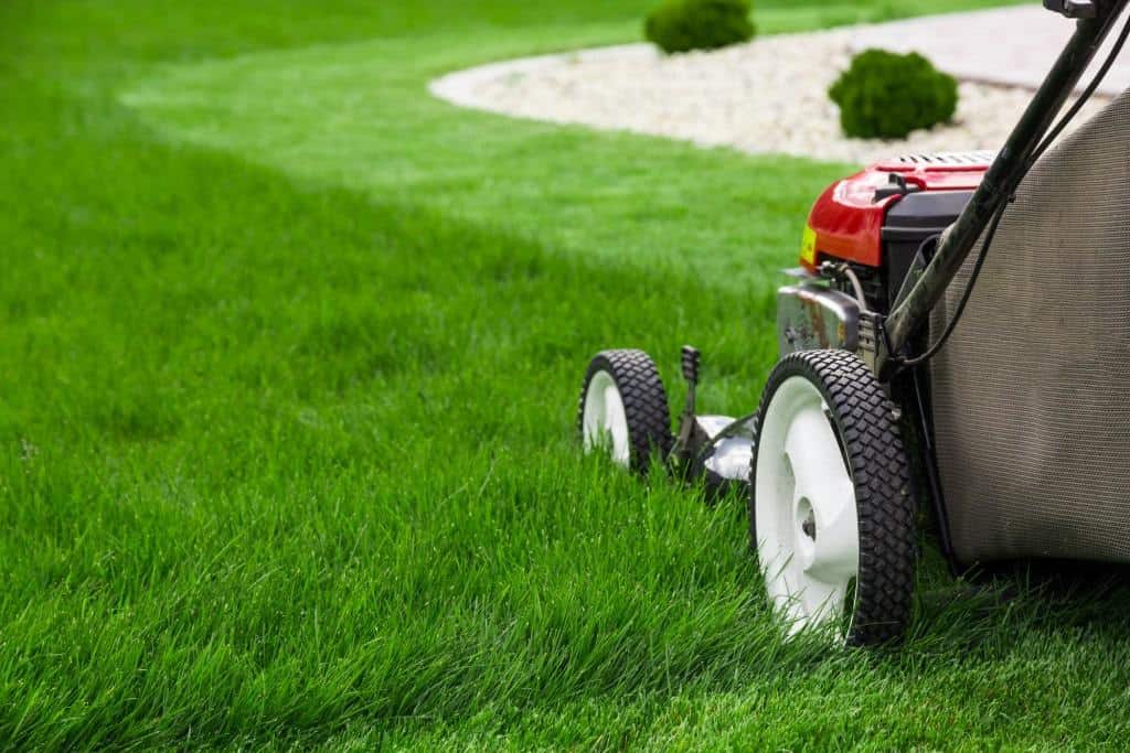 How to choose a good corded electric lawn mower