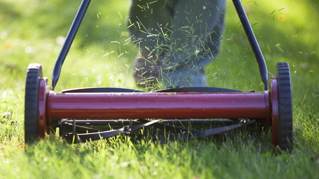 How to choose a good reel mower